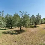 Casa Rivolta